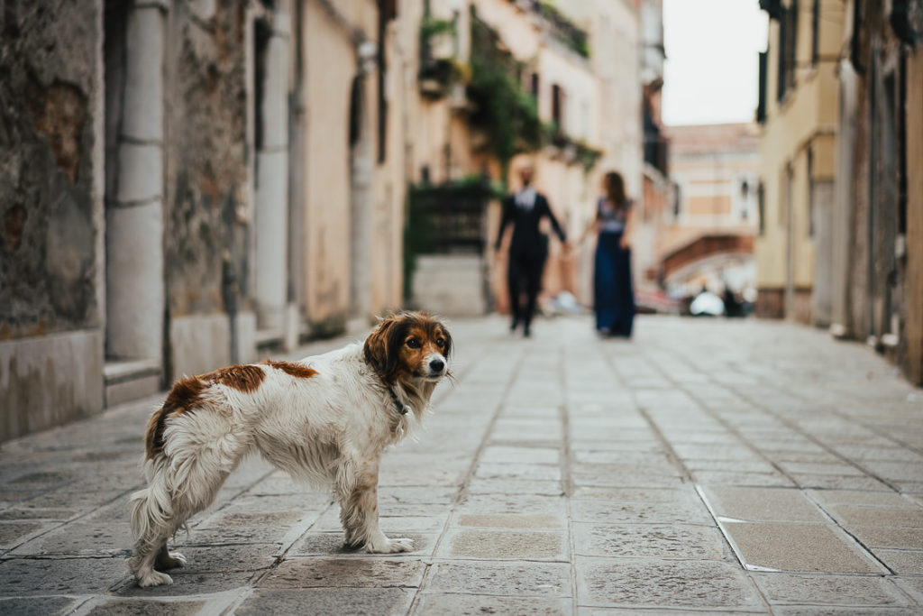 Nicola Cuapiolo - Foto di coppia a Venezia | Laura & Stefano